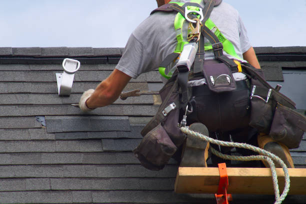 Best Storm Damage Roof Repair  in Russellville, AL