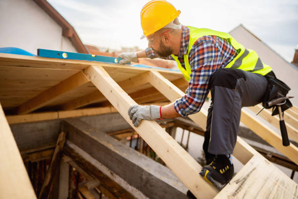 Roof Gutter Cleaning in Russellville, AL