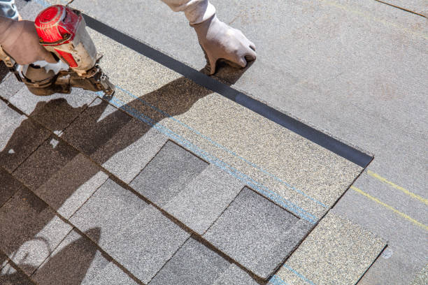 Professional Roofing Contractor in Russellville, AL